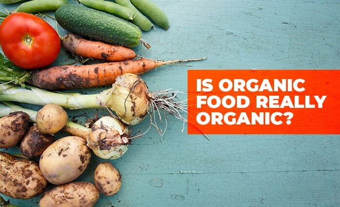 https://www.clubinfonline.com/2020/04/04/what-is-organic-food-and-is-our-food-100-organic/